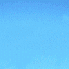 13.gif