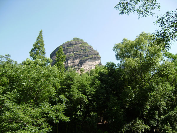 P6290236.jpg