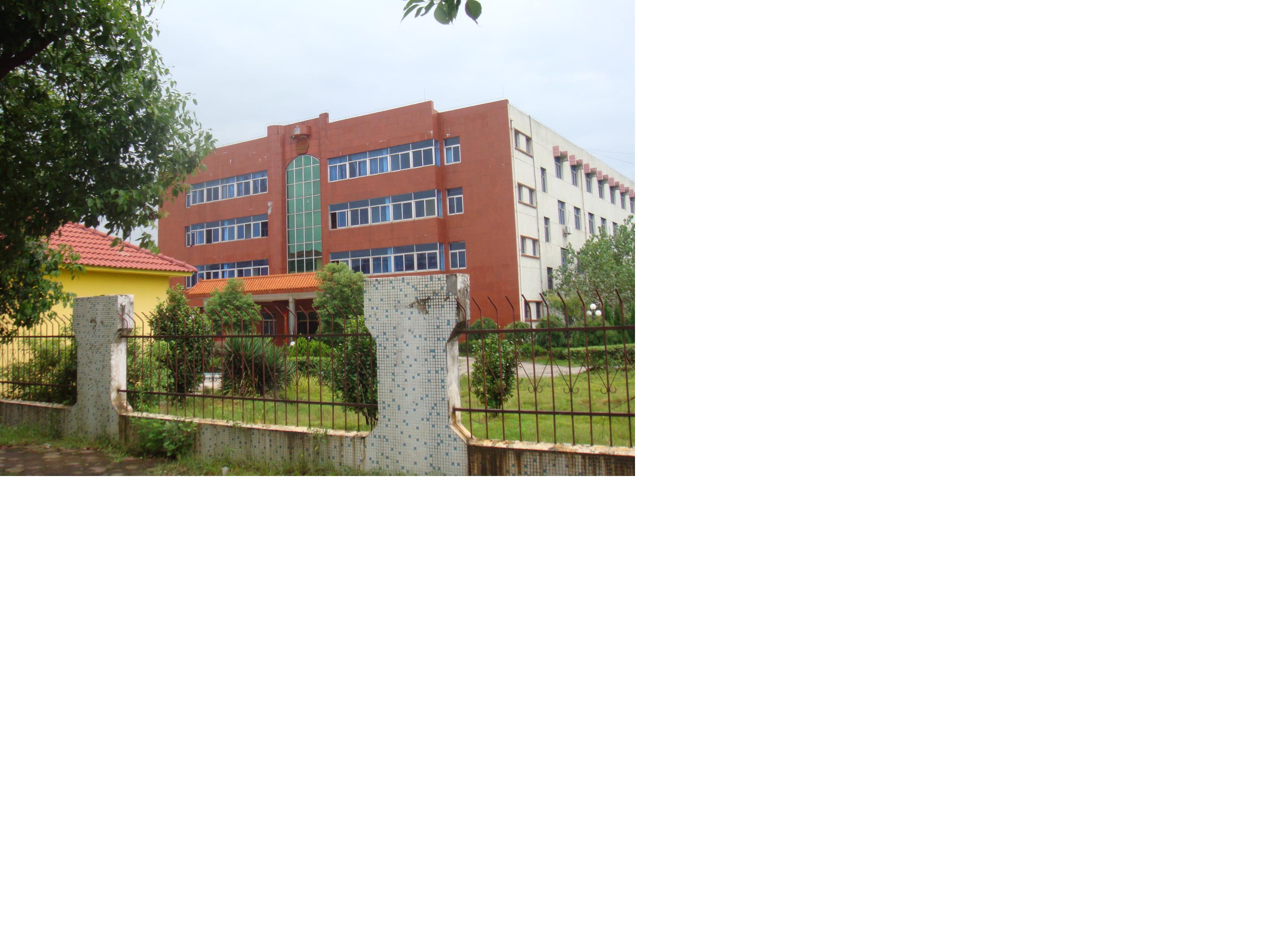 DSC00969.JPG
