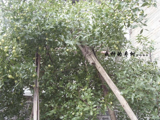 http_imgload8.jpg