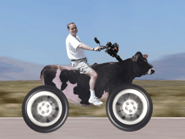{7E6962DC-74C9-425C-A8C3-0D1C3D08D855}1.gif