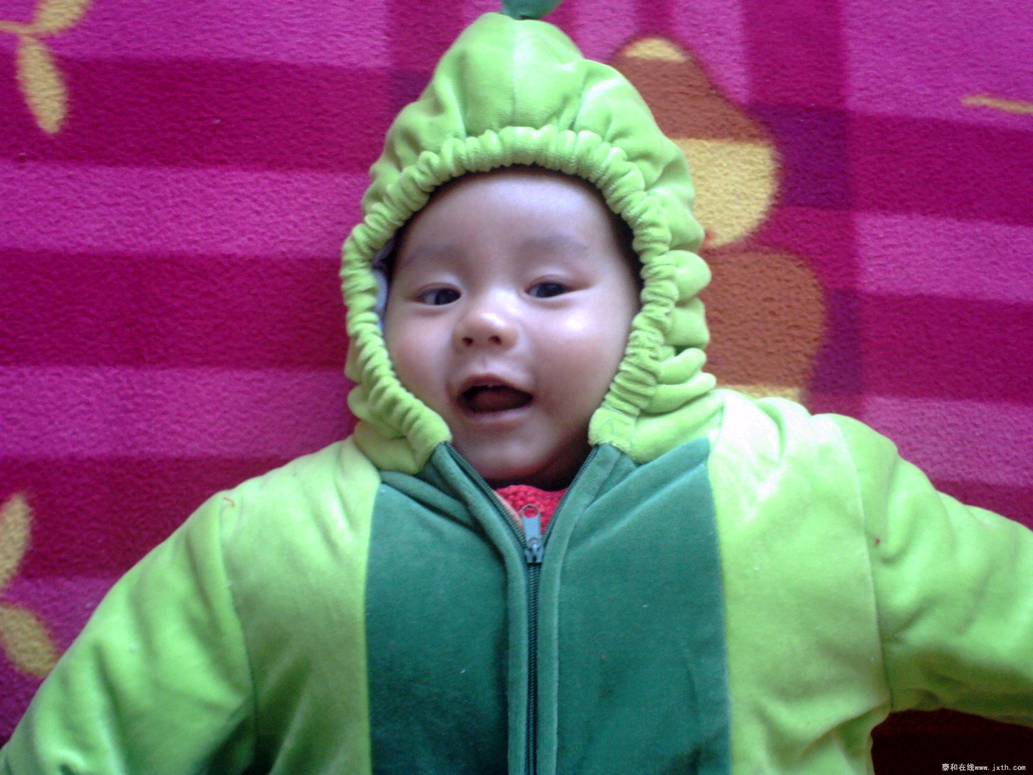 PICT0058.JPG