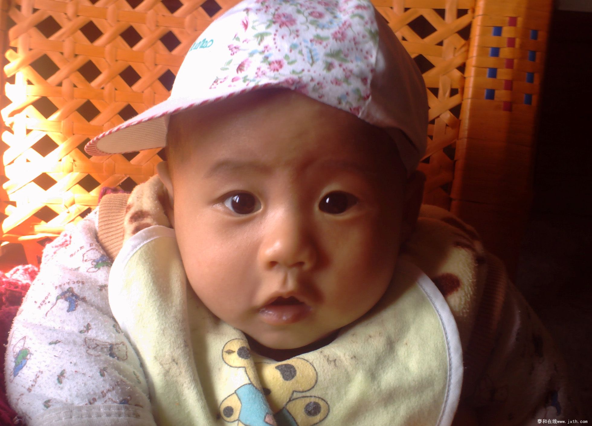 PICT0035.JPG