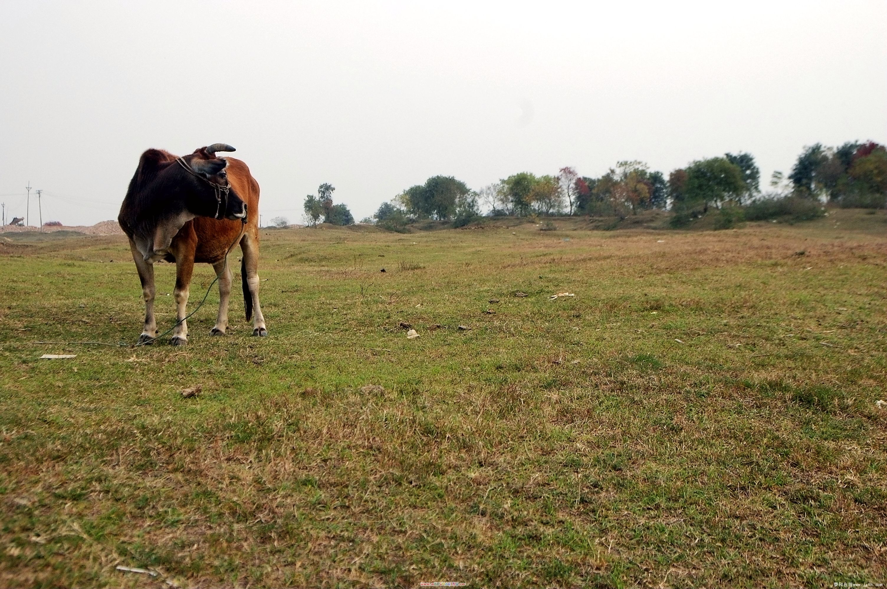DSC_0095.jpg
