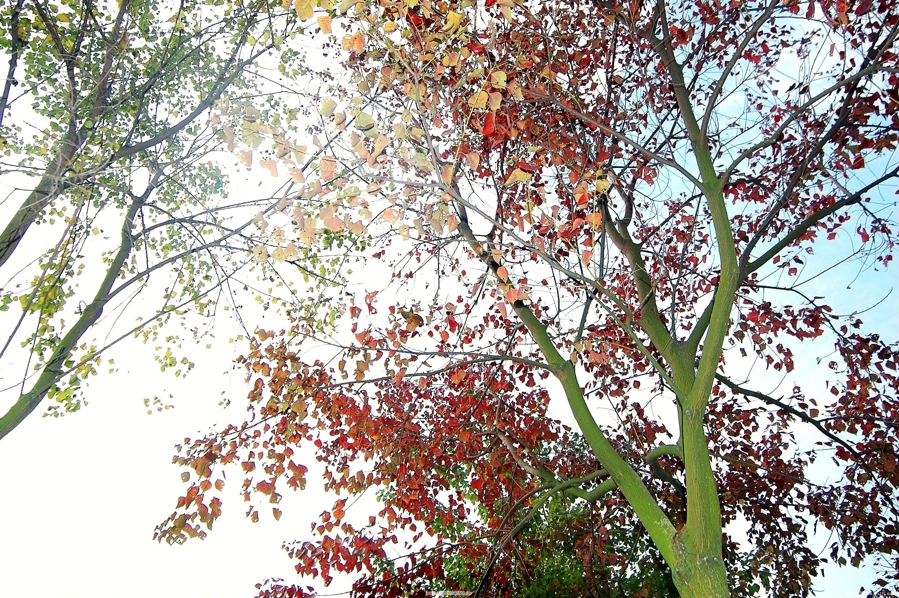 DSC_0101.jpg