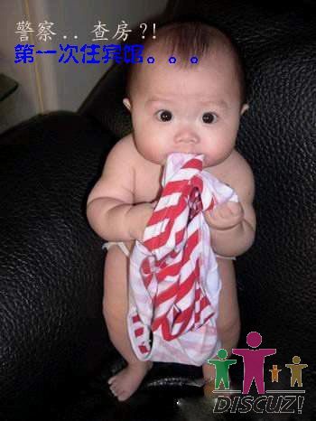1f03c4bq1136f4_97e4b8.jpg