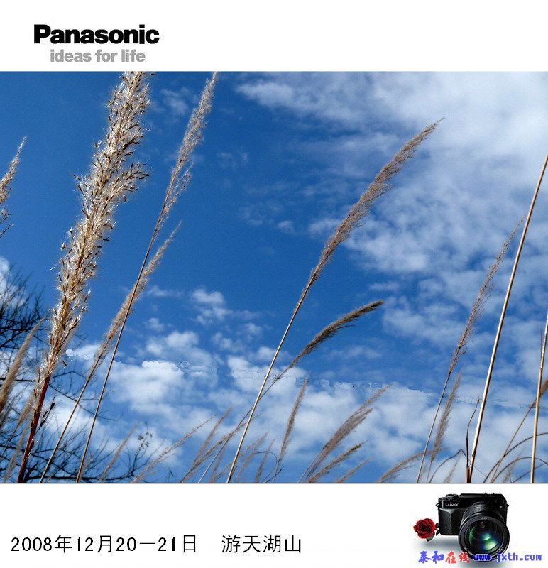 200812211830216486.jpg
