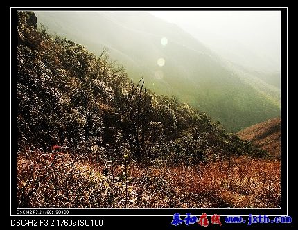 200812220255113570.jpg