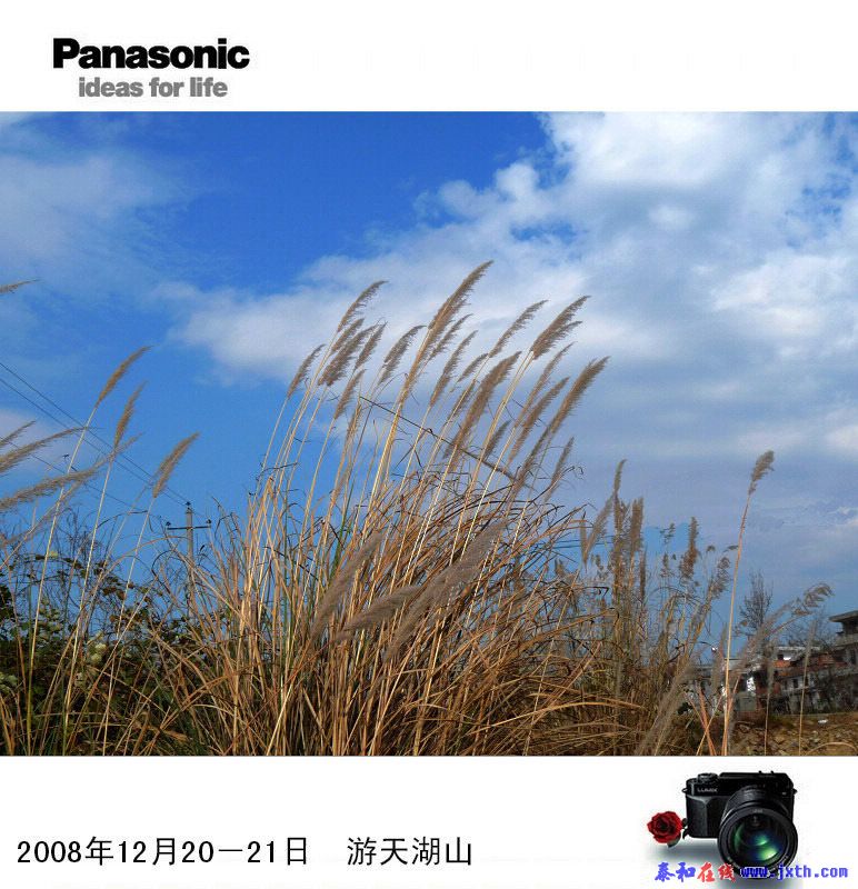 200812211830238858.jpg
