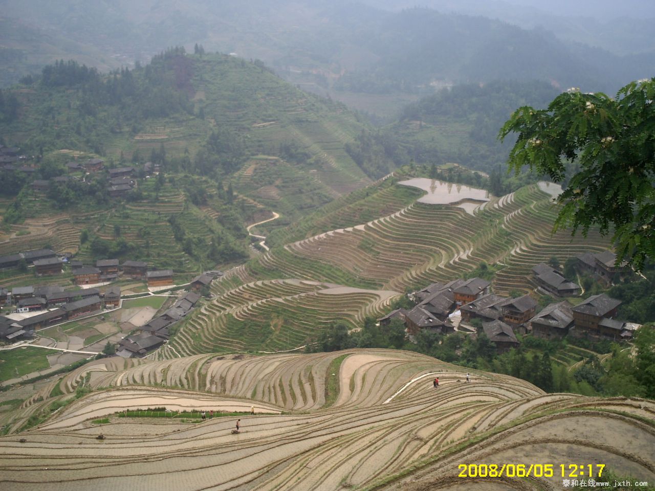 PICT0449.JPG