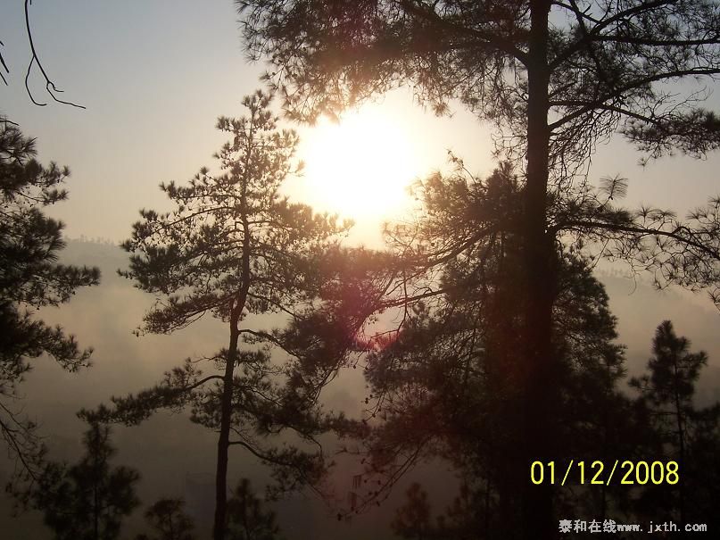 100_8535.JPG