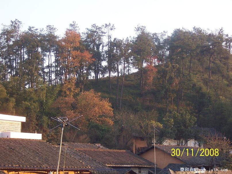 100_8530.JPG