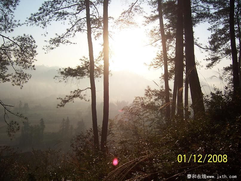 100_8539.JPG