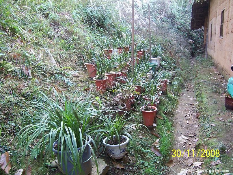 100_8519.JPG