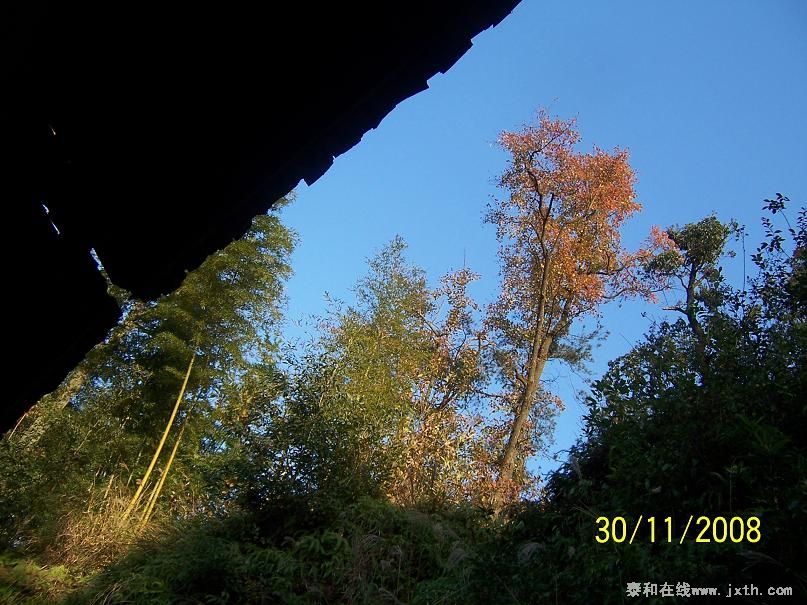 100_8514.JPG