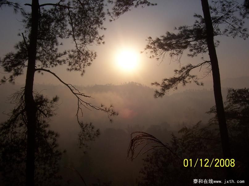 100_8533.JPG