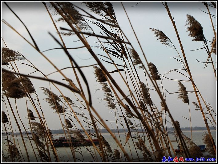 DSC_0008a.jpg
