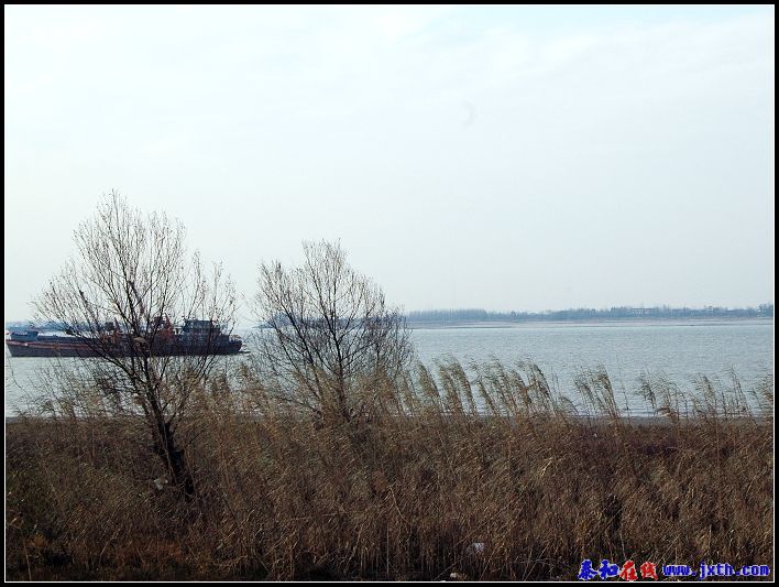 DSC_0011a.jpg