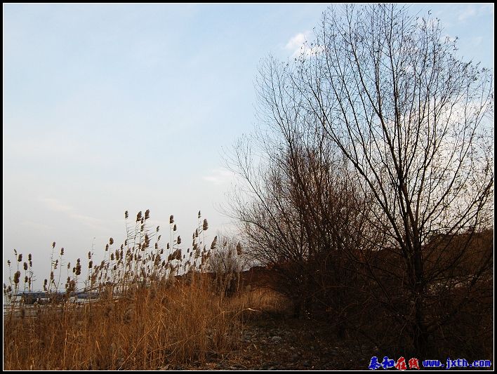 DSC_0009a.jpg