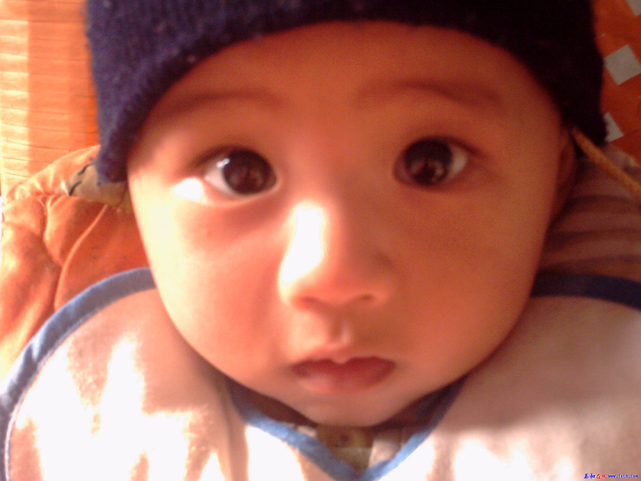 PICT0270.JPG