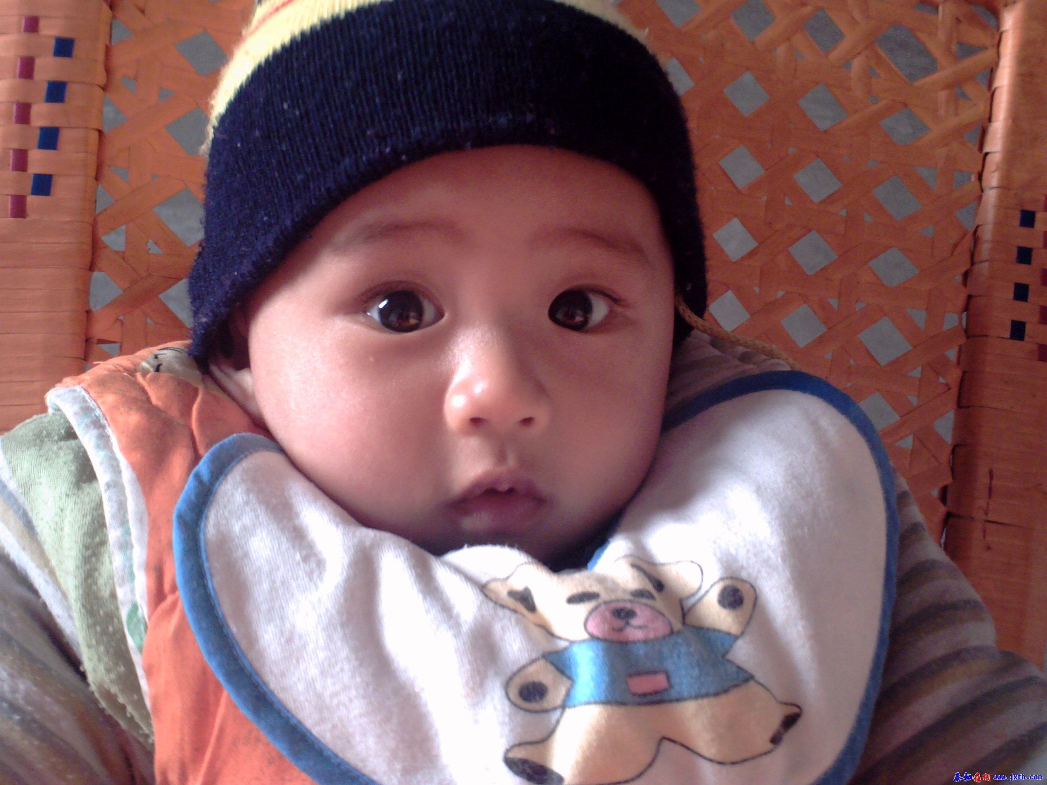 PICT0272.JPG