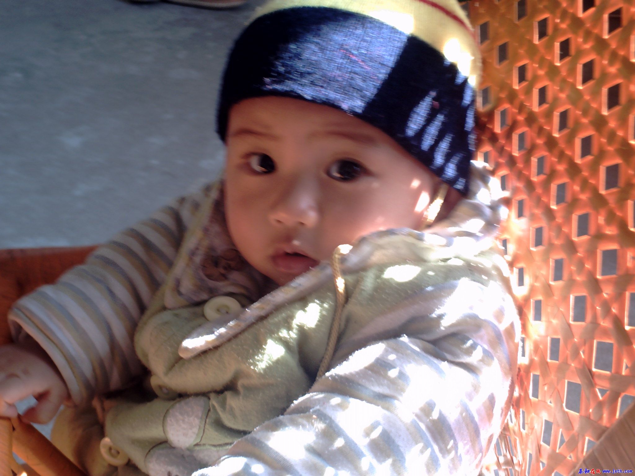 PICT0248.JPG