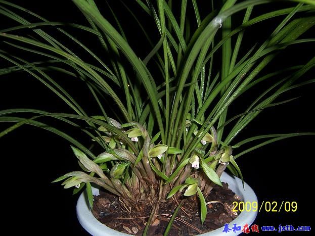 100_9251.jpg