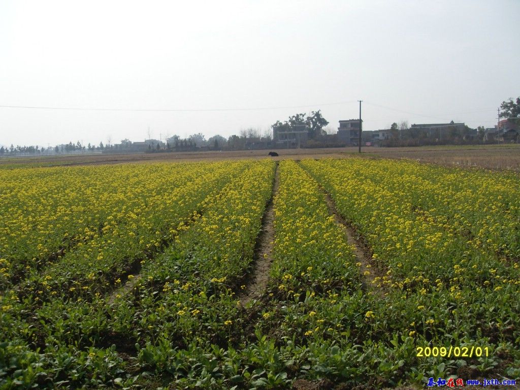 SDC10852.jpg