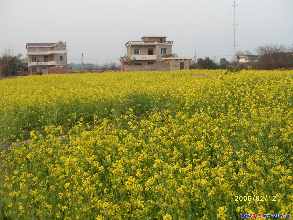 SDC10904.jpg