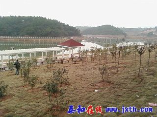 SP_A0458.jpg