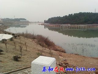 SP_A0468.jpg